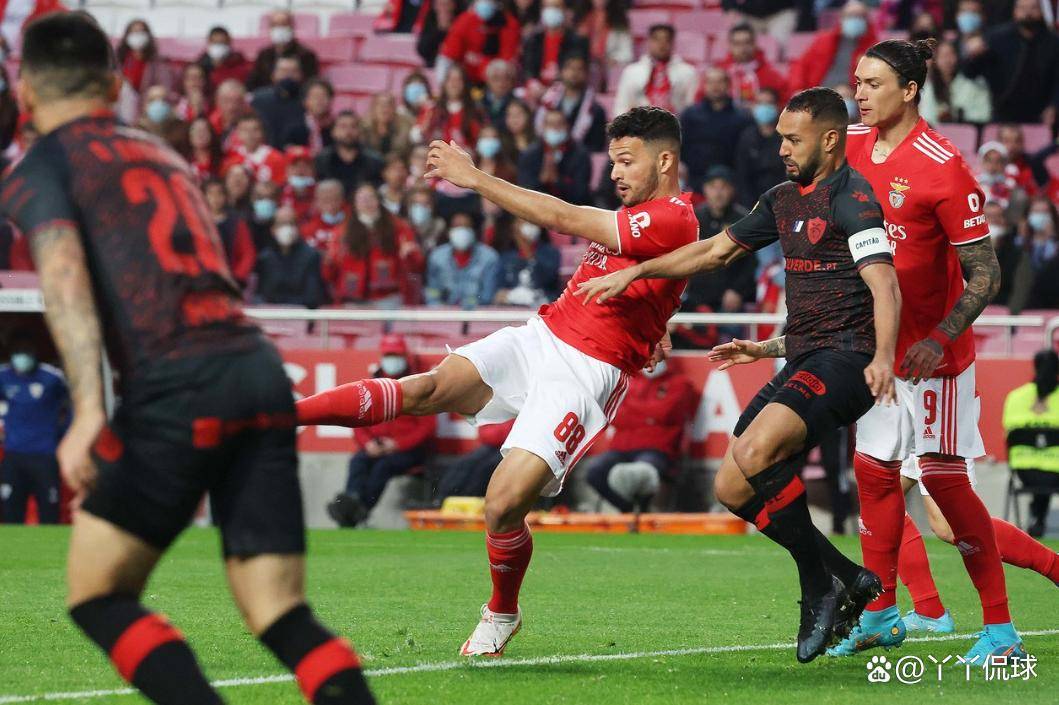 加时末段体能课后；纽卡斯尔伤情更新备战葡超；悬念犹存；团队化学反应显著的简单介绍